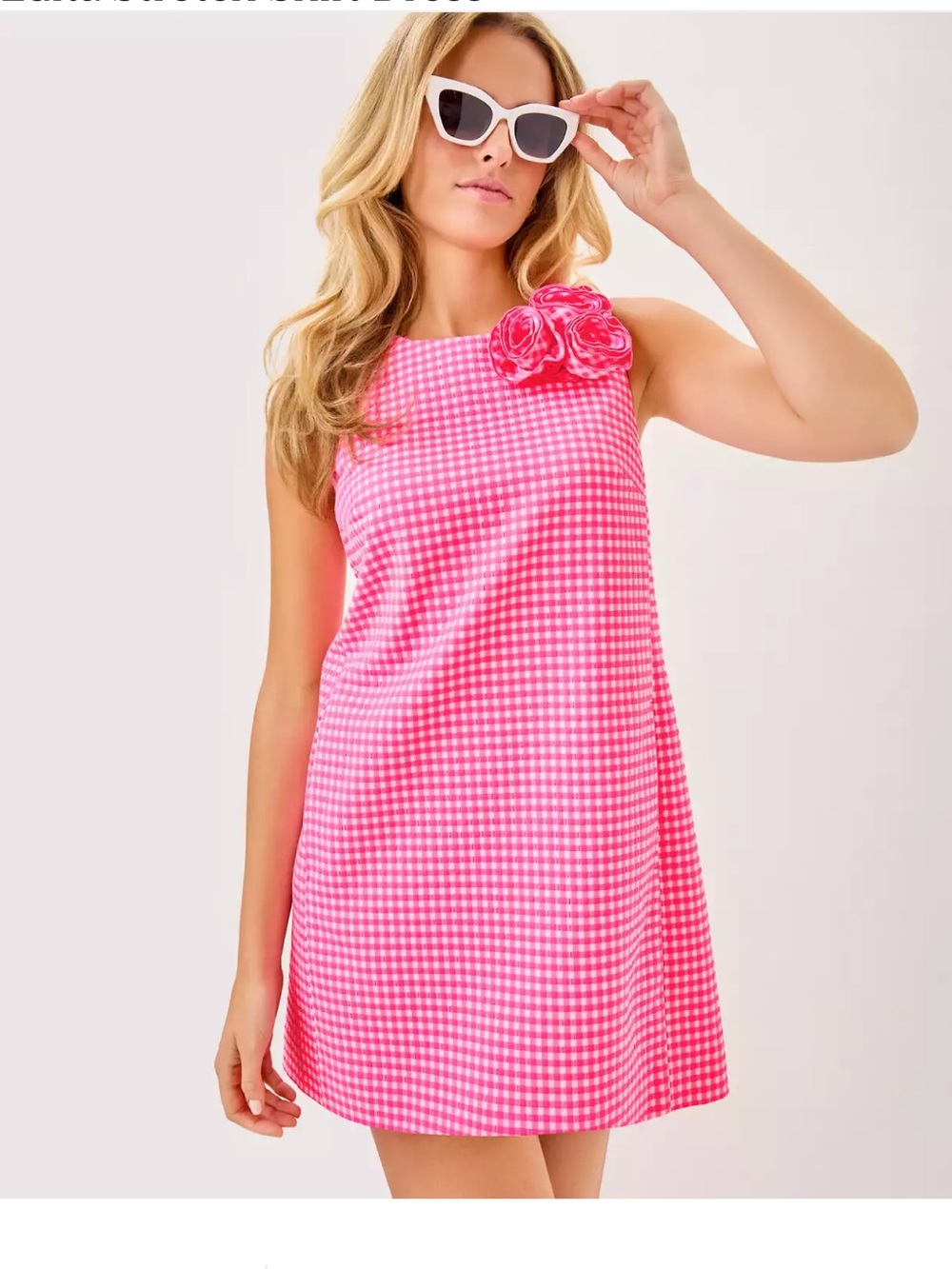 Lilly Pulitzer NWT Gingham Sleeveless Dress with Rosette Size 6